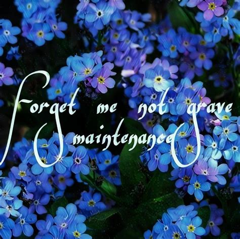 Forget Me Not Grave Maintenance